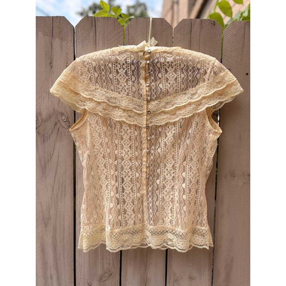 Vintage Beaded Champagne Lace Top | Sheer Lace Blouse - Picture 3 of 5